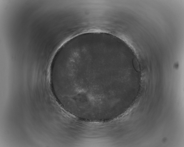 X0000097641173200803211826