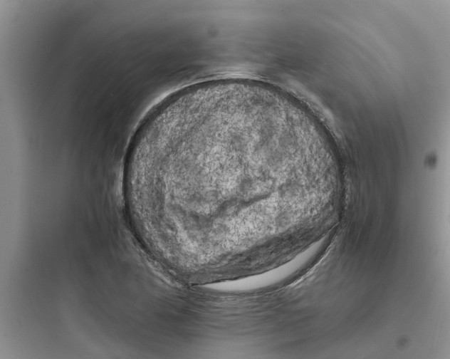 X0000097641174200803211826