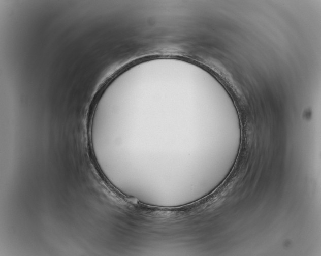 X0000097641176200803211826