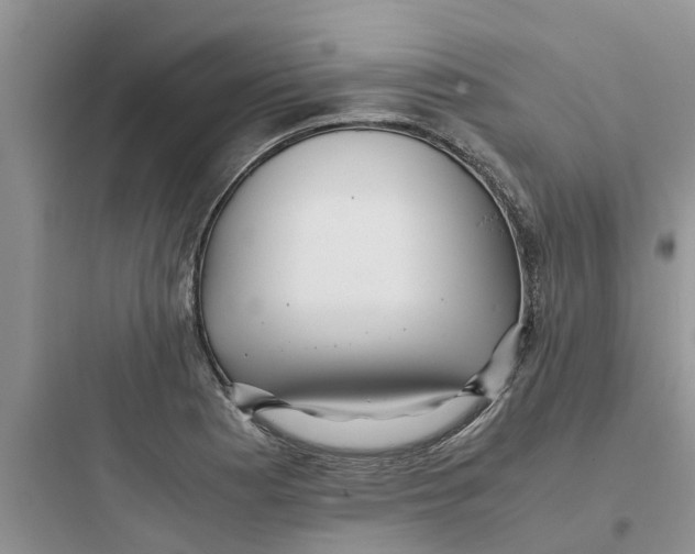 X0000097641177200803211826