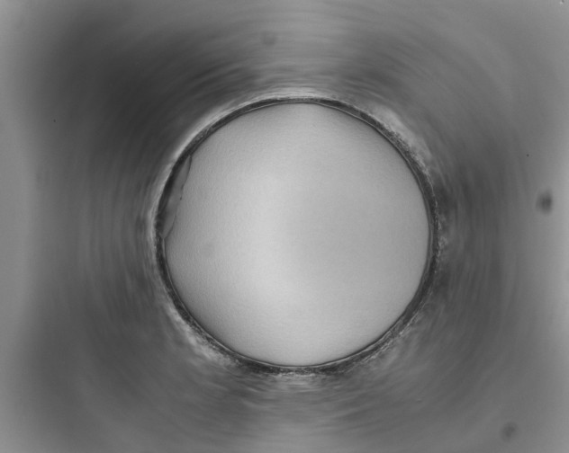 X0000097641181200803211825