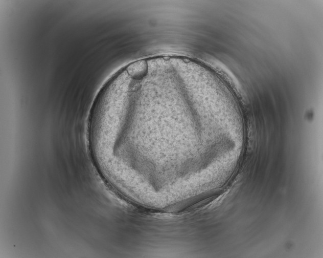 X0000097641182200803211825