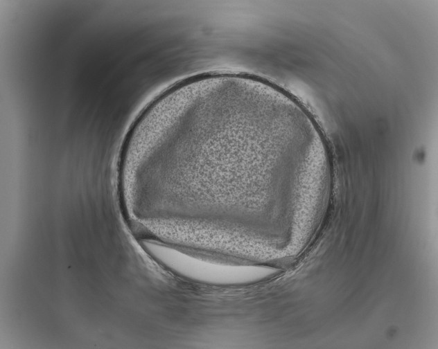 X0000097641183200803211825