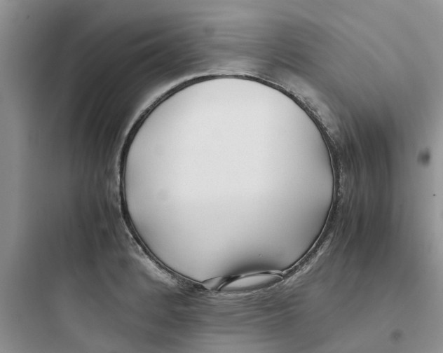 X0000097641184200803211825