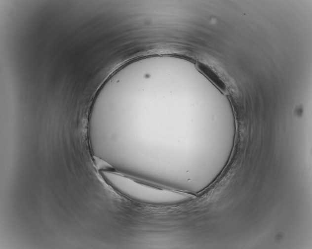 X0000097641185200803211825