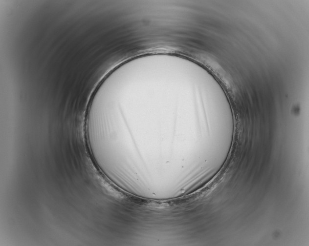 X0000097641186200803211825