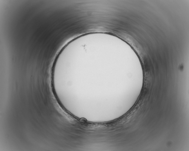 X0000097641187200803211825