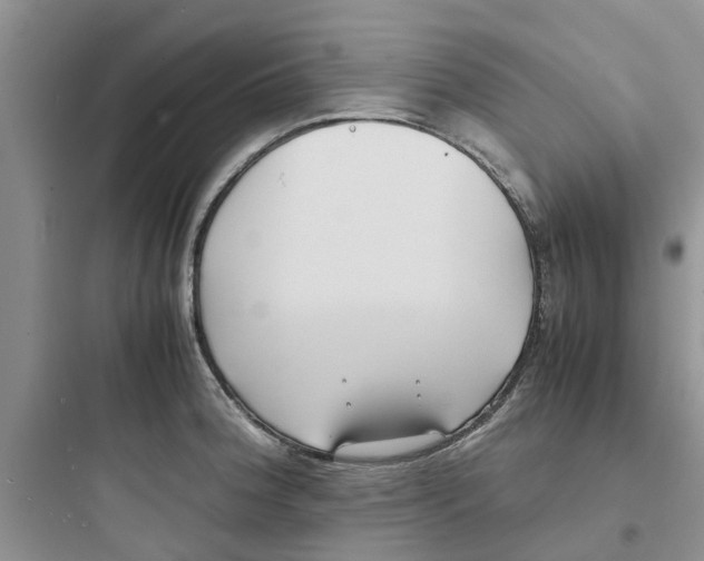 X0000097641188200803211825