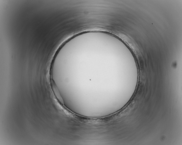 X0000097641189200803211825