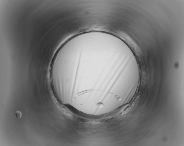 X0000097641190200803211825