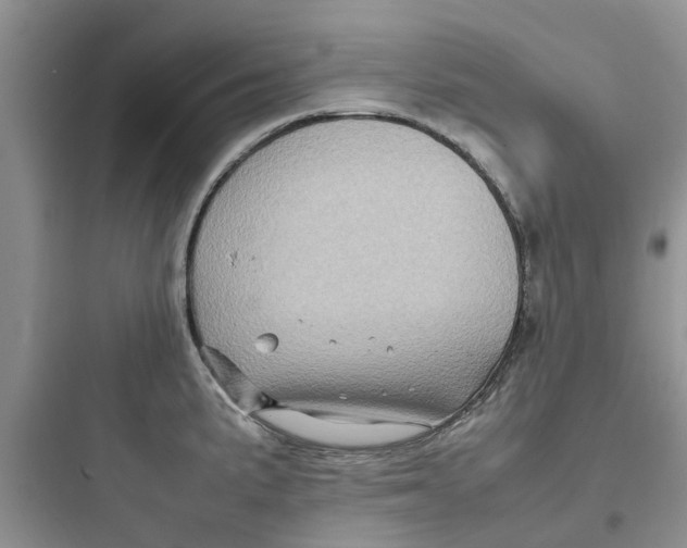 X0000097641191200803211825