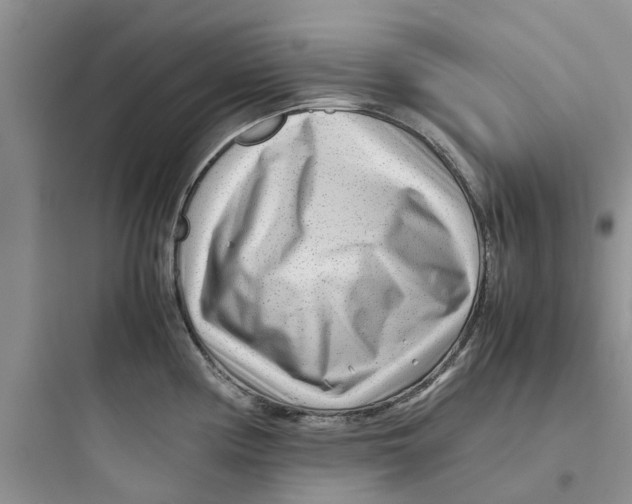 X0000097641194200803211825