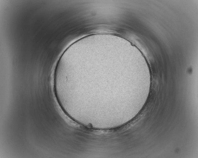 X0000097641195200803211825