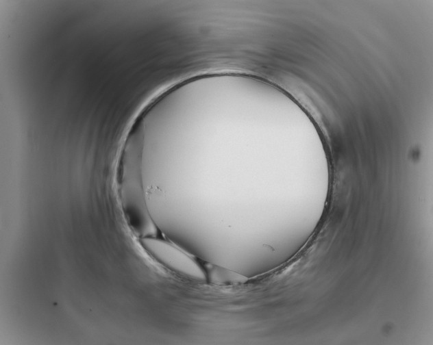 X0000097641197200803211825