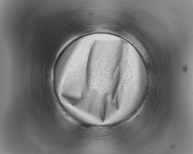 X0000097641198200803211825