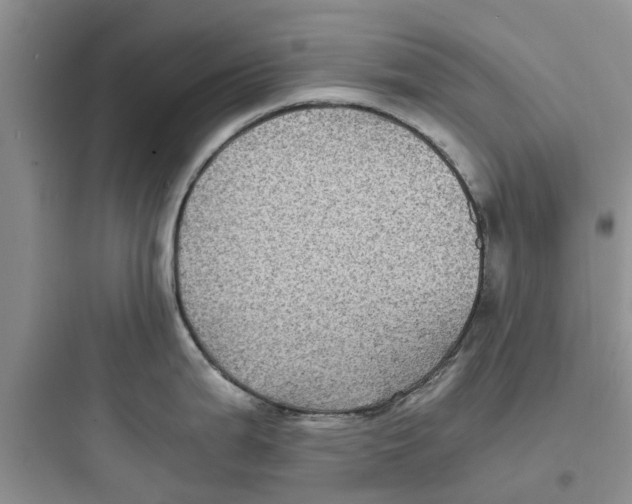 X0000097641199200803211825