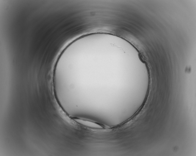 X0000097641200200803211825