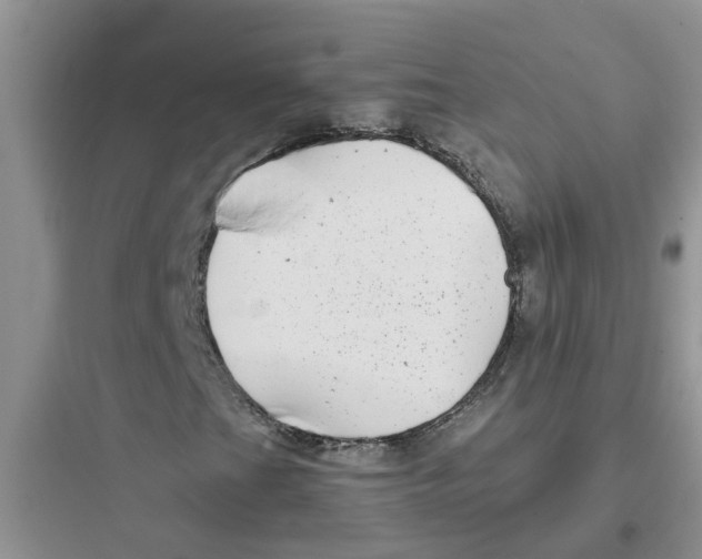 X0000097641201200803211825