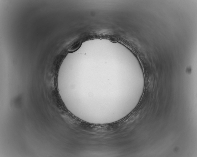 X0000097641205200803211825