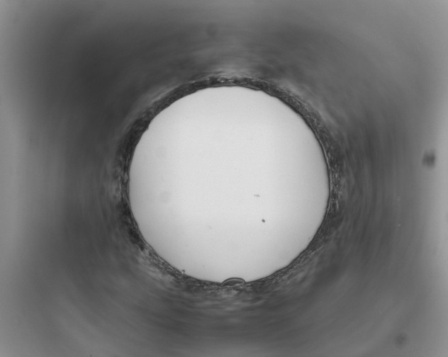 X0000097641207200803211825