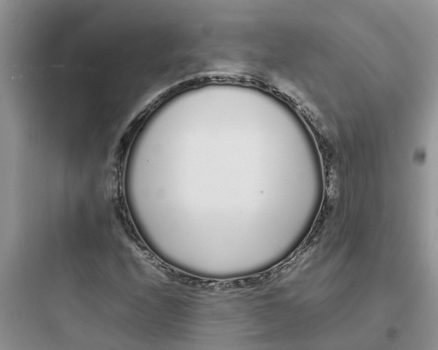 X0000097641208200803211825