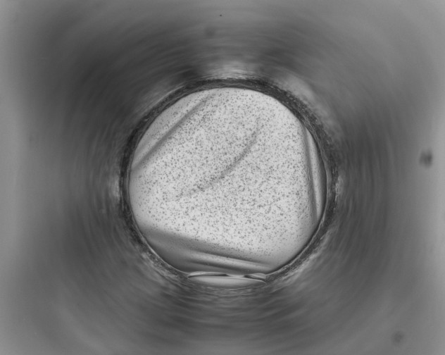 X0000097641209200803211825