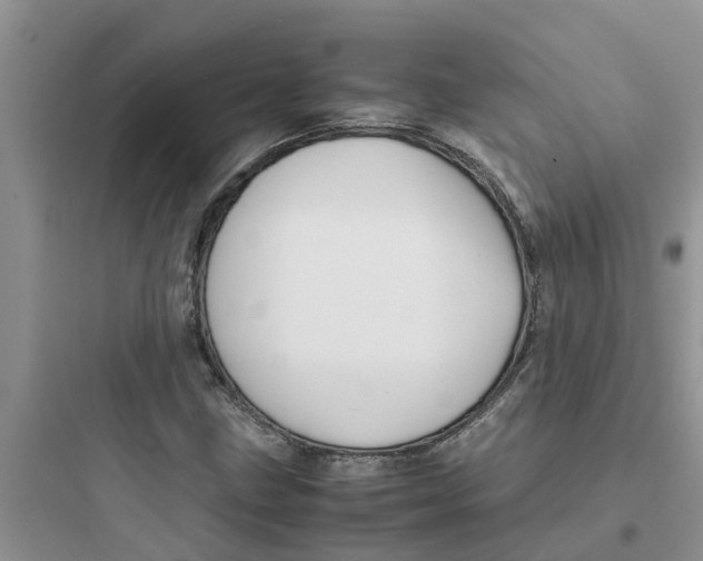 X0000097641211200803211825