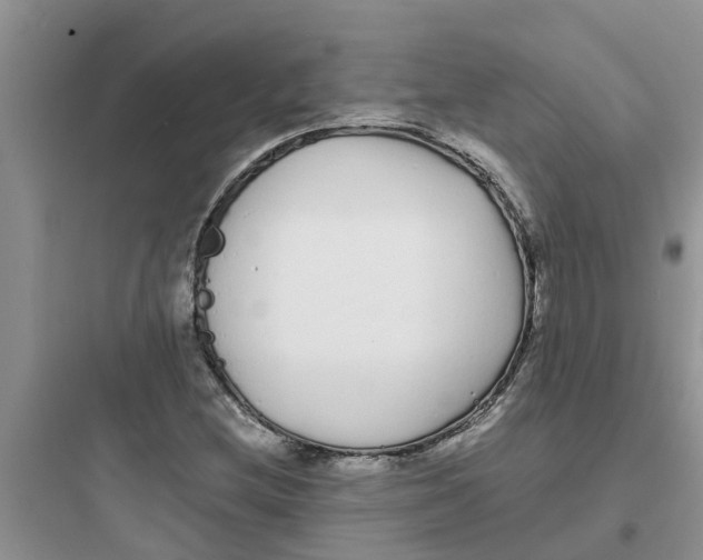 X0000097641212200803211825