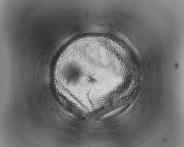 X0000097641213200803211825