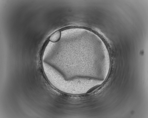 X0000097641215200803211825