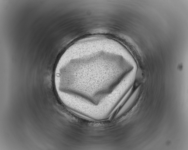 X0000097641217200803211825