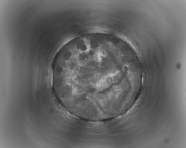 X0000097641219200803211825