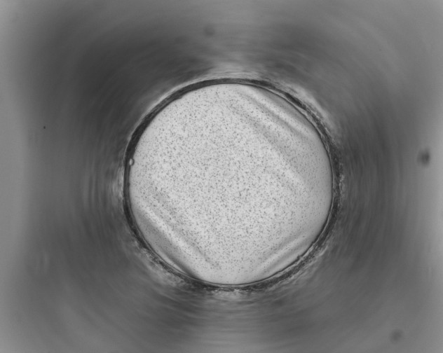 X0000097641220200803211825