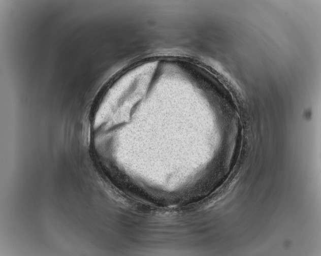 X0000097641221200803211825