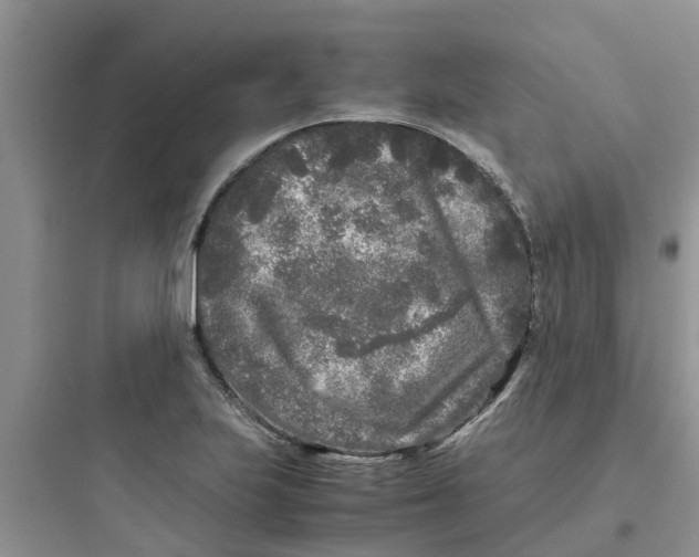 X0000097641223200803211825