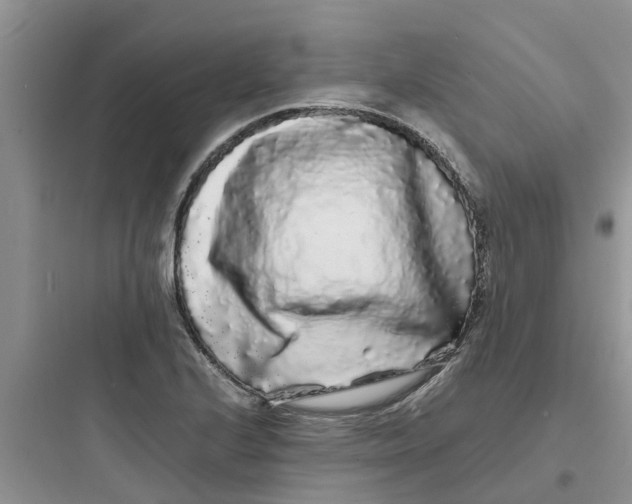 X0000097641224200803211825