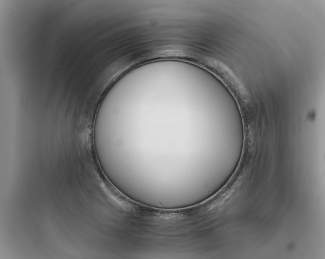 X0000097641225200803211825