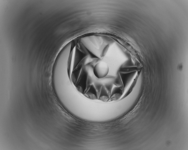 X0000097641226200803211825