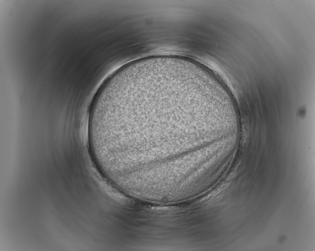 X0000097641227200803211825