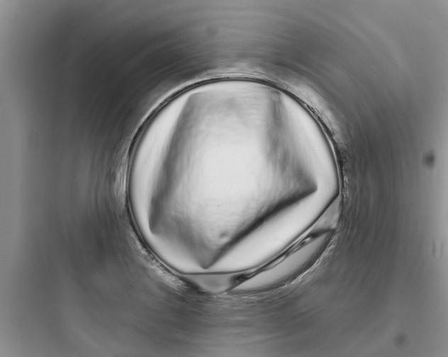 X0000097641228200803211825