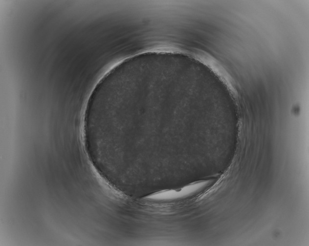 X0000097641229200803211825