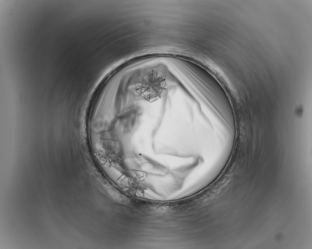 X0000097641230200803211825