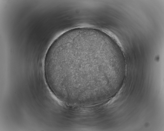 X0000097641231200803211825