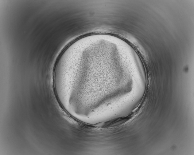 X0000097641232200803211825