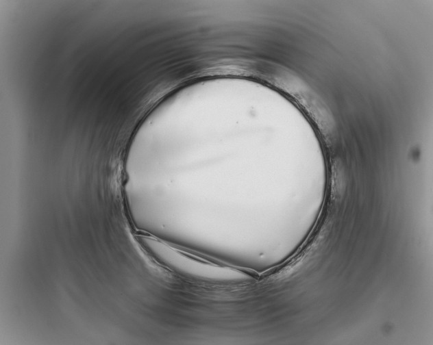 X0000097641233200803211825