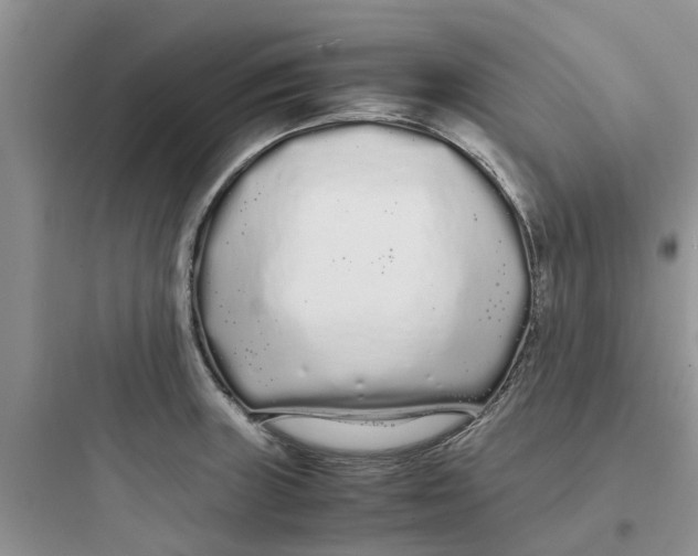 X0000097641235200803211825