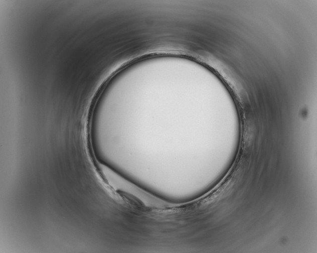 X0000097641237200803211825