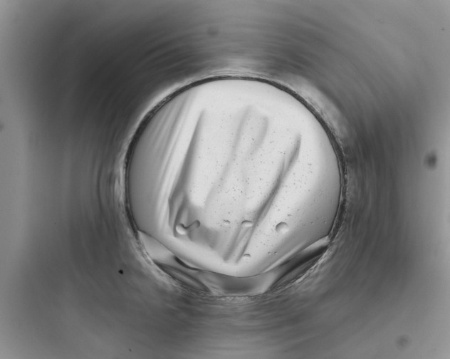 X0000097641238200803211825