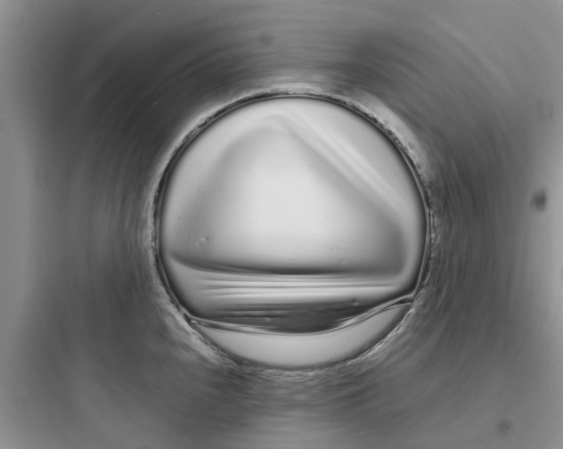 X0000097641240200803211825