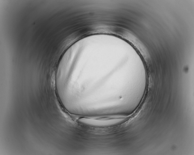 X0000097641241200803211825